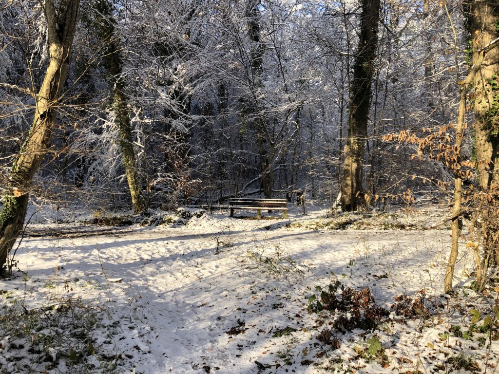 Winterlandschaft