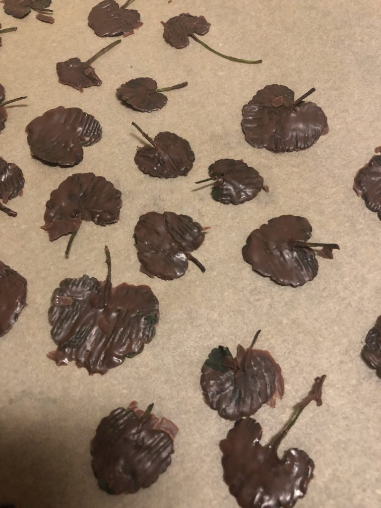 Schokolierter Gundermann