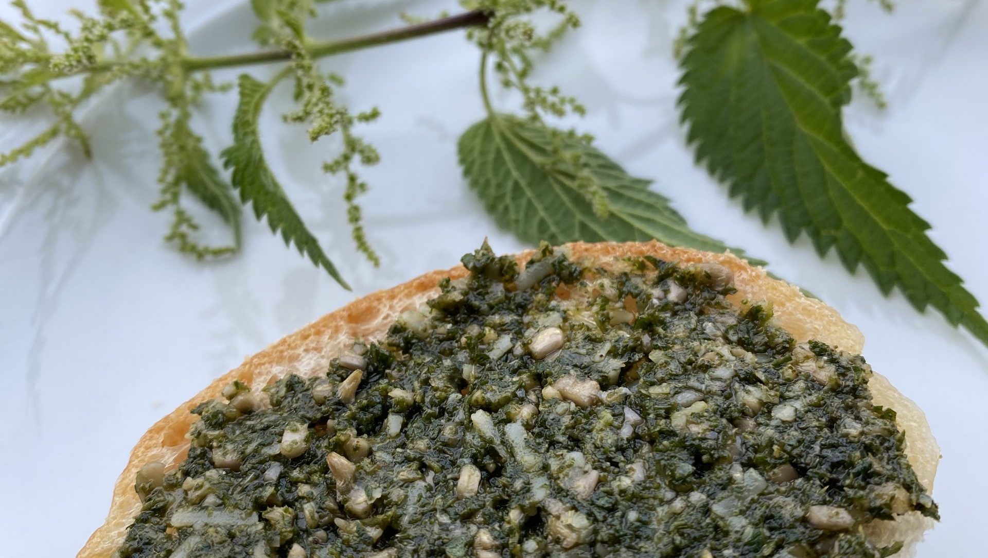 Brennnessel-Pesto